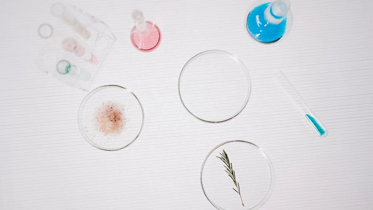 Laboratory equipment and petri dishes with chemicals and a plant, ideal for scientific research themes.